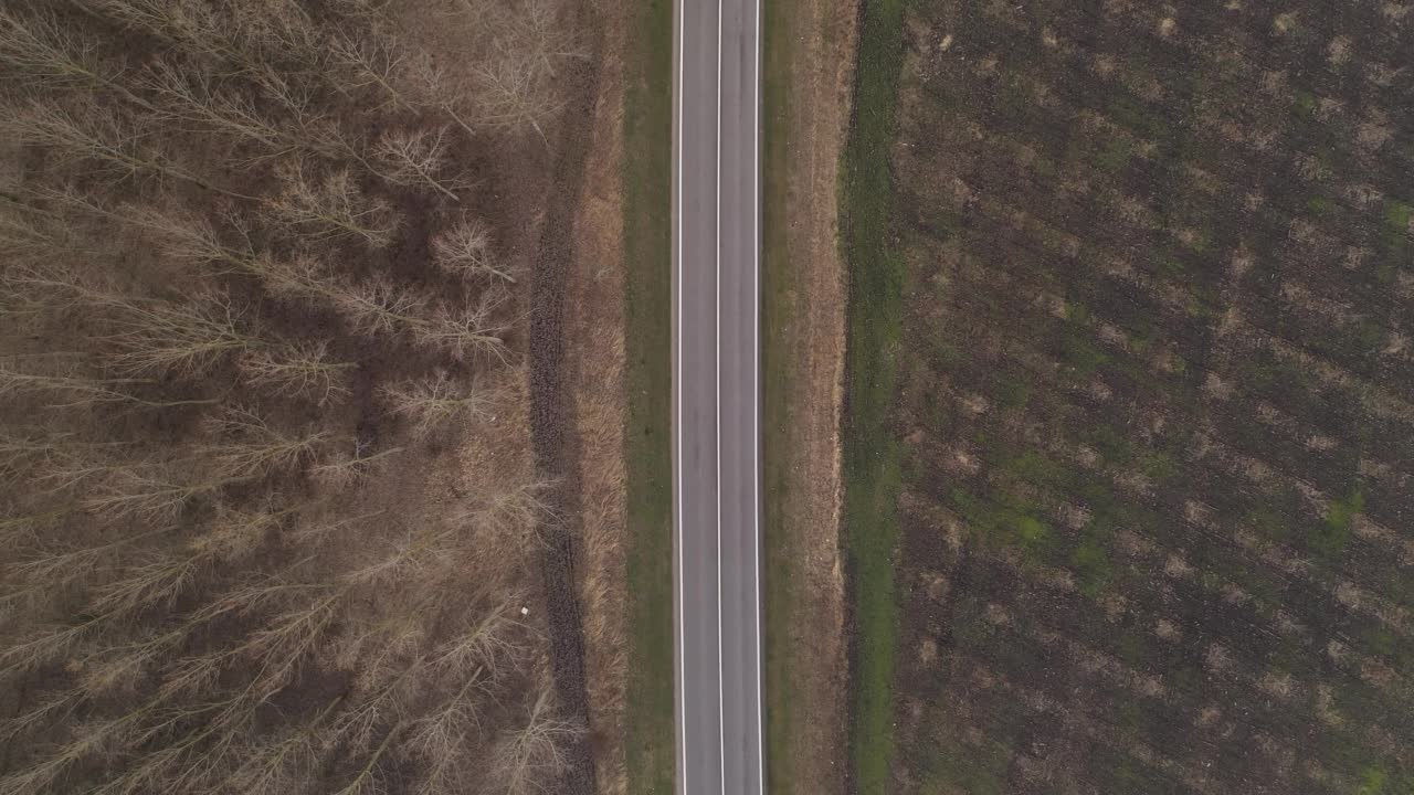 航拍的微型货车和拖车行驶在高速公路通过落叶树木景观在秋天视频素材