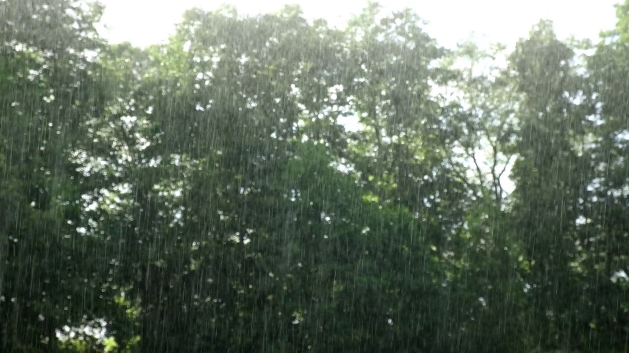 雨中从绿叶上滴下的雨滴。雨水落在绿色的植物上。夏天的天气。自然的情绪背景。用来冥想，放松。大雨阵雨。视频素材