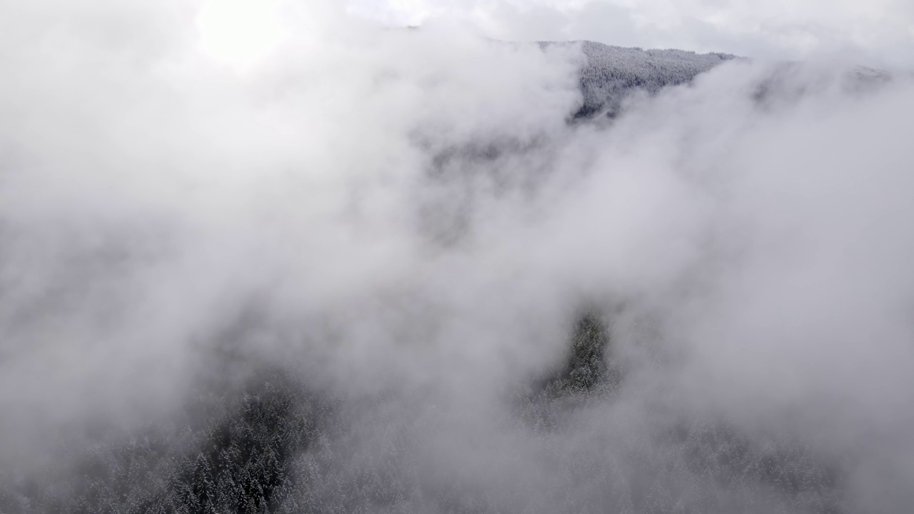 飞越俄勒冈州白雪覆盖的森林视频素材