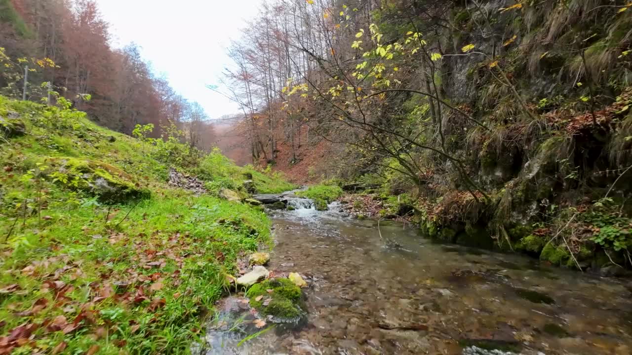 绿色森林中的河流在小山附近流动的镜头视频素材