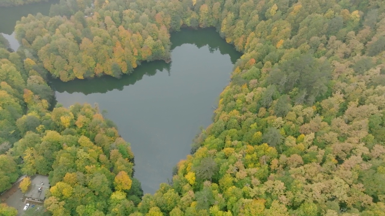 鸟瞰Yedigöller秋天的博鲁，鸟瞰郁郁葱葱的湖景，绿树和自然景观，郁郁葱葱的自然景观，Yedigöller土耳其博鲁国家公园，鸟瞰绿湖，雾天的湖景，雾天的自然景观视频素材