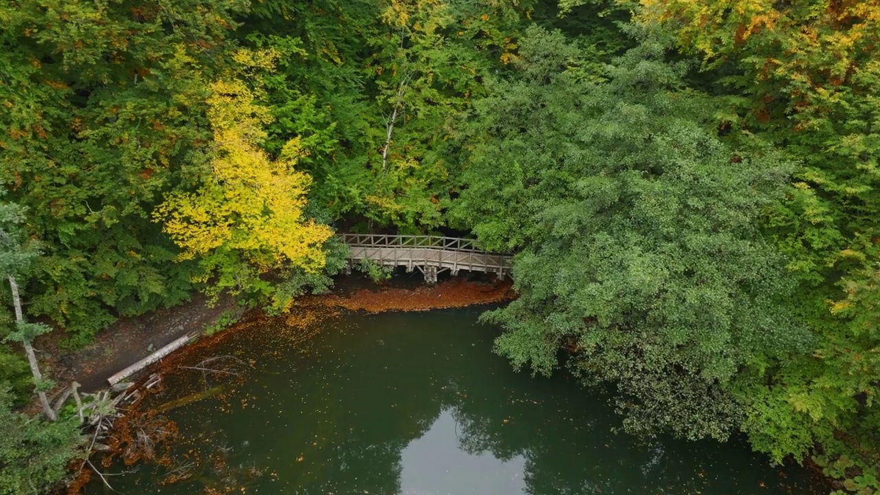 鸟瞰Yedigöller秋天的博鲁，鸟瞰郁郁葱葱的湖景，绿树和自然景观，郁郁葱葱的自然景观，Yedigöller土耳其博鲁国家公园，鸟瞰绿湖，木水桥视频素材