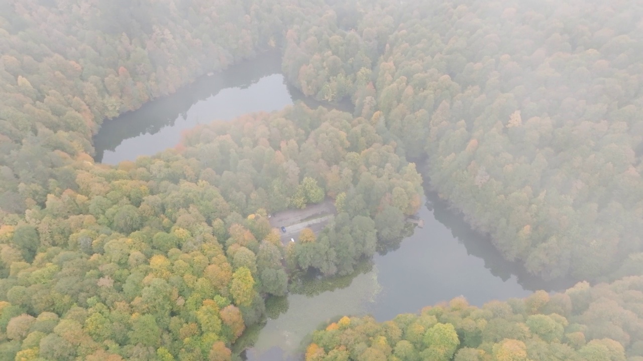 鸟瞰Yedigöller秋天的博鲁，鸟瞰郁郁葱葱的湖景，绿树和自然景观，郁郁葱葱的自然景观，Yedigöller土耳其博鲁国家公园，鸟瞰绿湖，雾天的湖景，雾天的自然景观视频素材