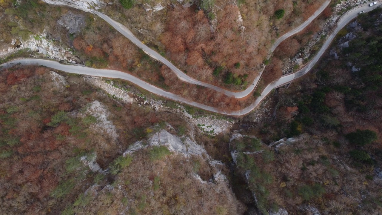 鸟瞰秋天的森林，蜿蜒的道路穿过森林视频素材