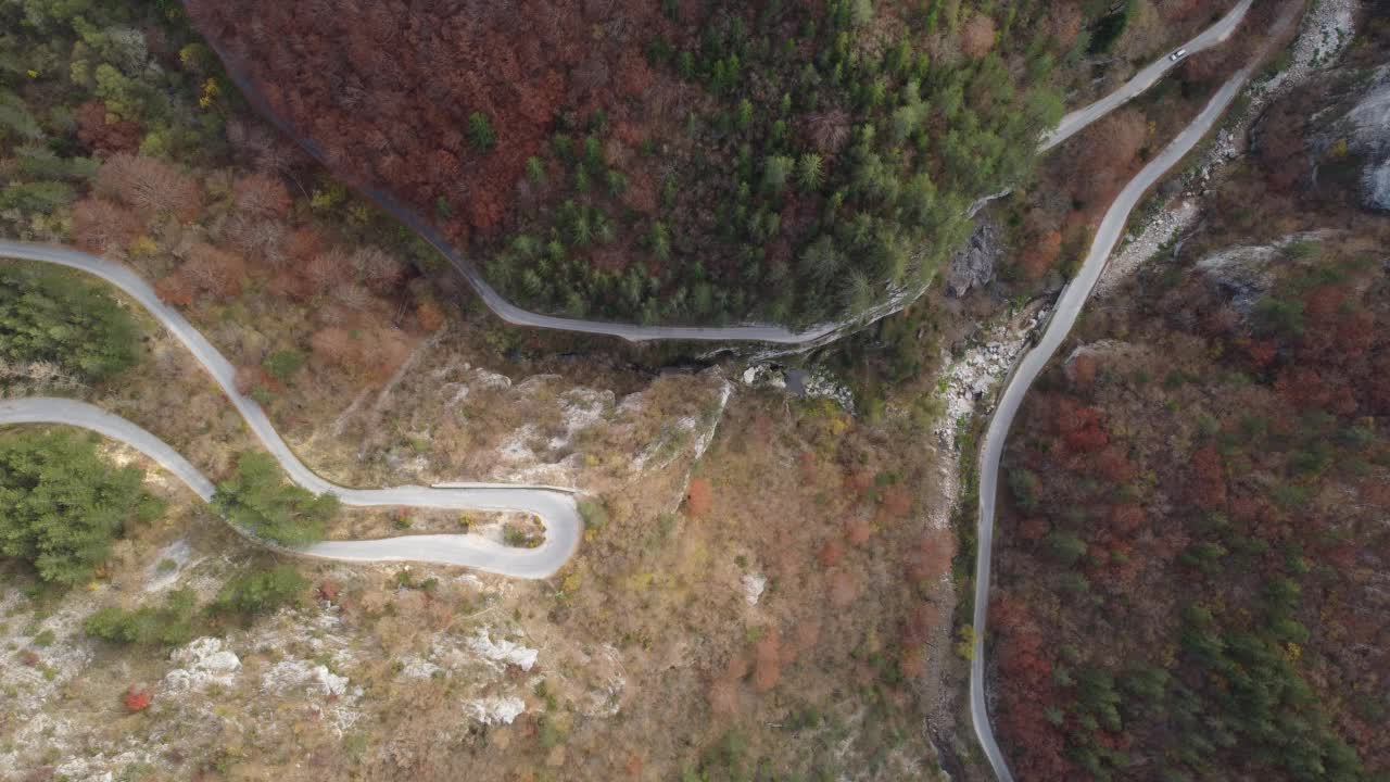 鸟瞰秋天的森林，蜿蜒的道路穿过森林视频素材