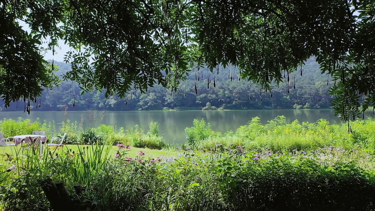 夏日的花园和湖景/韩国视频素材