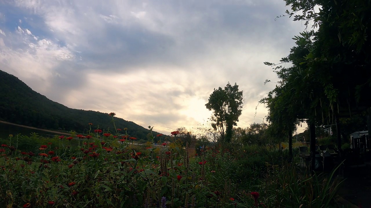 天空中穿过花园的云/韩国视频素材