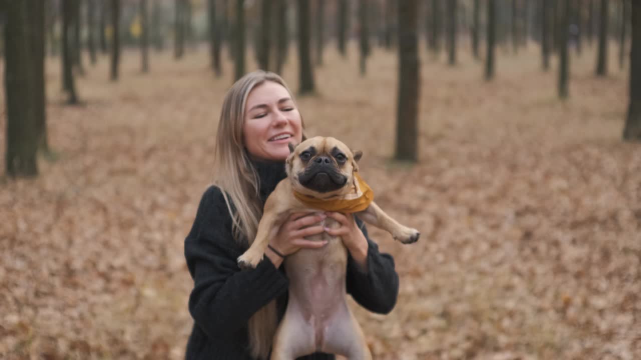 年轻漂亮的女人抱着她的狗在森林或公园散步。有趣的法国斗牛犬。家养纯种狗在秋天的黄色森林里散步视频素材