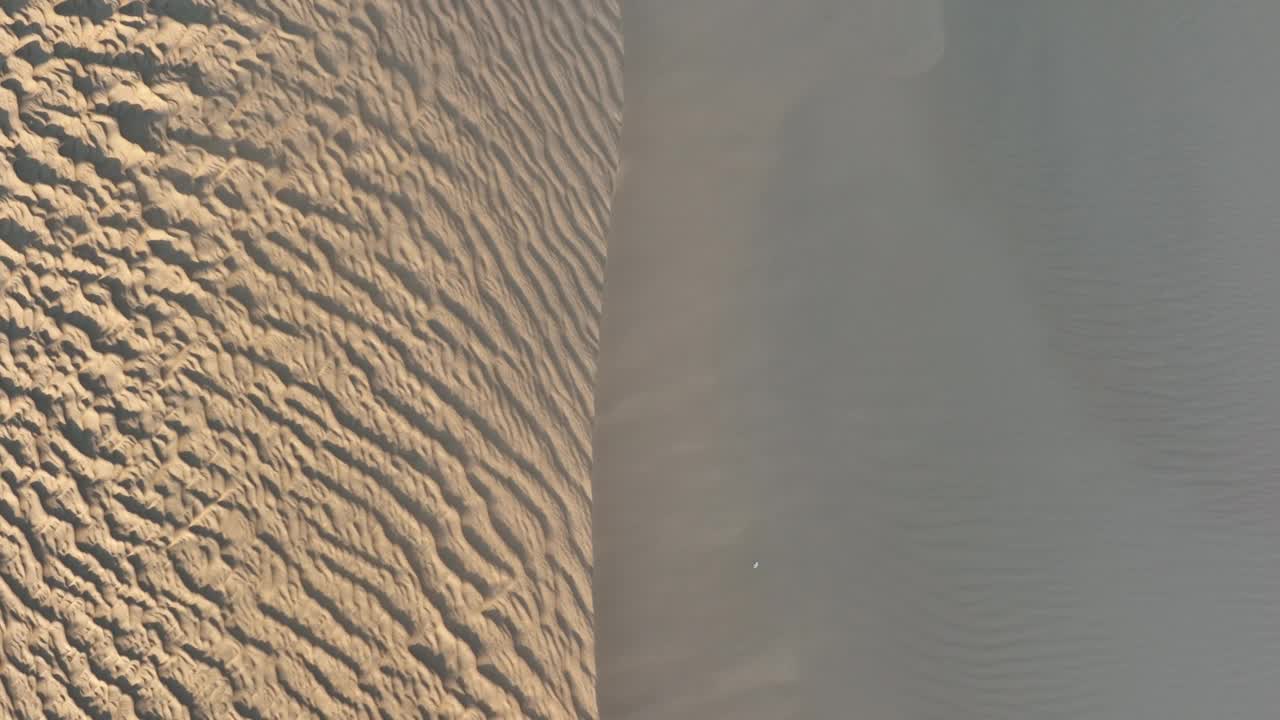 一架无人机在北非撒哈拉沙漠的沙丘顶部盘旋。视频素材