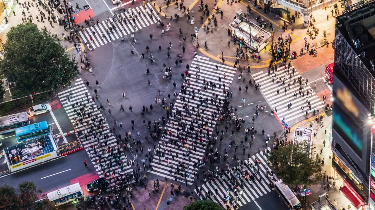 夜间汽车交通交通中断，拥挤的行人走在涩谷十字路口。东京旅游景点地标，日本旅游，亚洲交通或亚洲城市生活理念视频素材