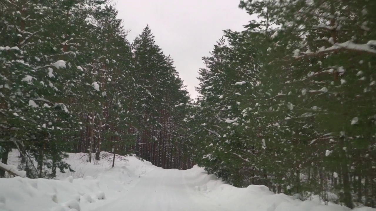 在森林里被雪覆盖的滑溜溜的路上小心驾驶。冬天在空旷的小路上行驶的汽车。视频素材