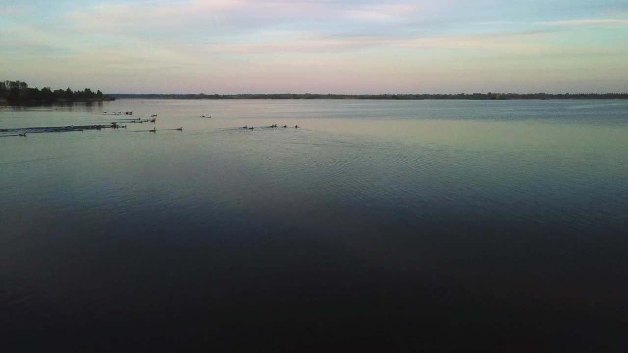 无人机拍摄的日落时分的湖泊和海岸线上的树木视频素材