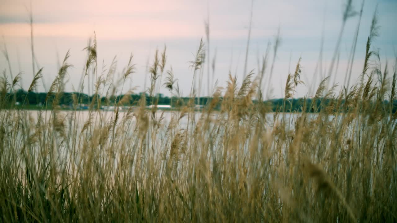 美丽的景色与湖泊在日出期间的背景视频素材