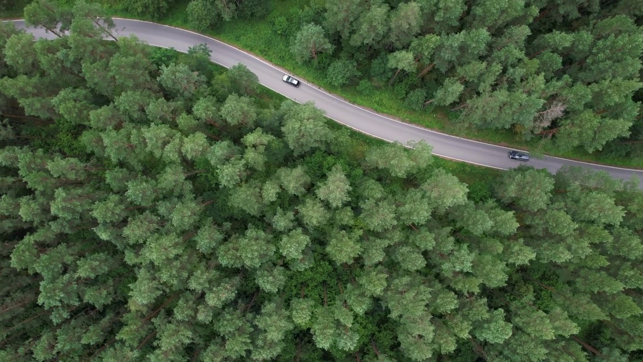 鸟瞰图夏天，黑色轿车行驶在穿过广袤森林的柏油路上。航拍的汽车行驶在松树林的道路上。森林自驾游。风景优美的夏季景观。视频素材