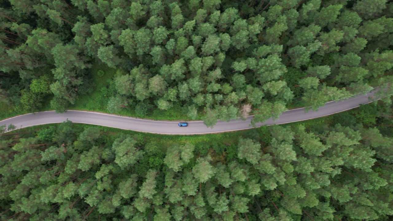 鸟瞰蓝色汽车行驶在穿越广阔森林的柏油路上，夏日。航拍的汽车行驶在松树林的道路上。森林自驾游。风景优美的夏季景观。视频素材