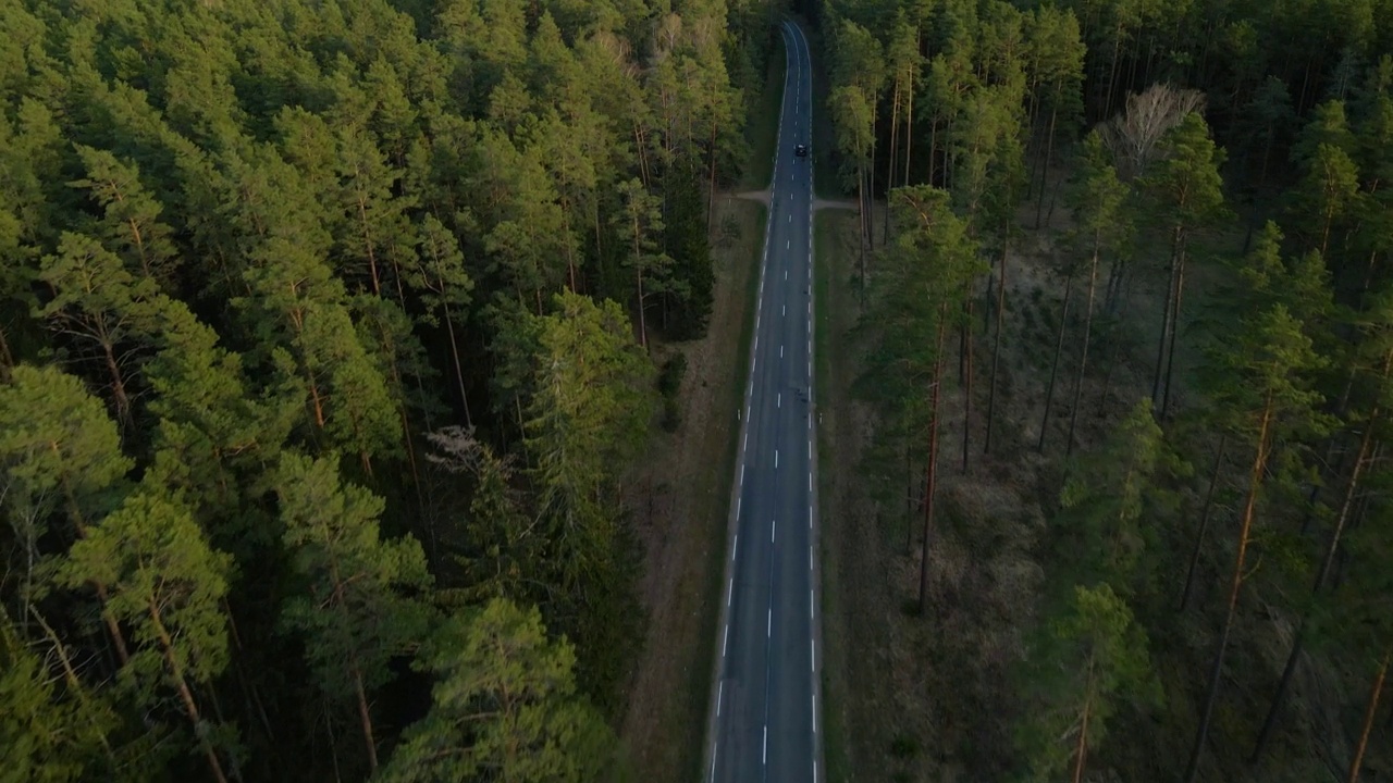 鸟瞰图:一条长长的高速公路穿过风景秀丽的松林视频素材