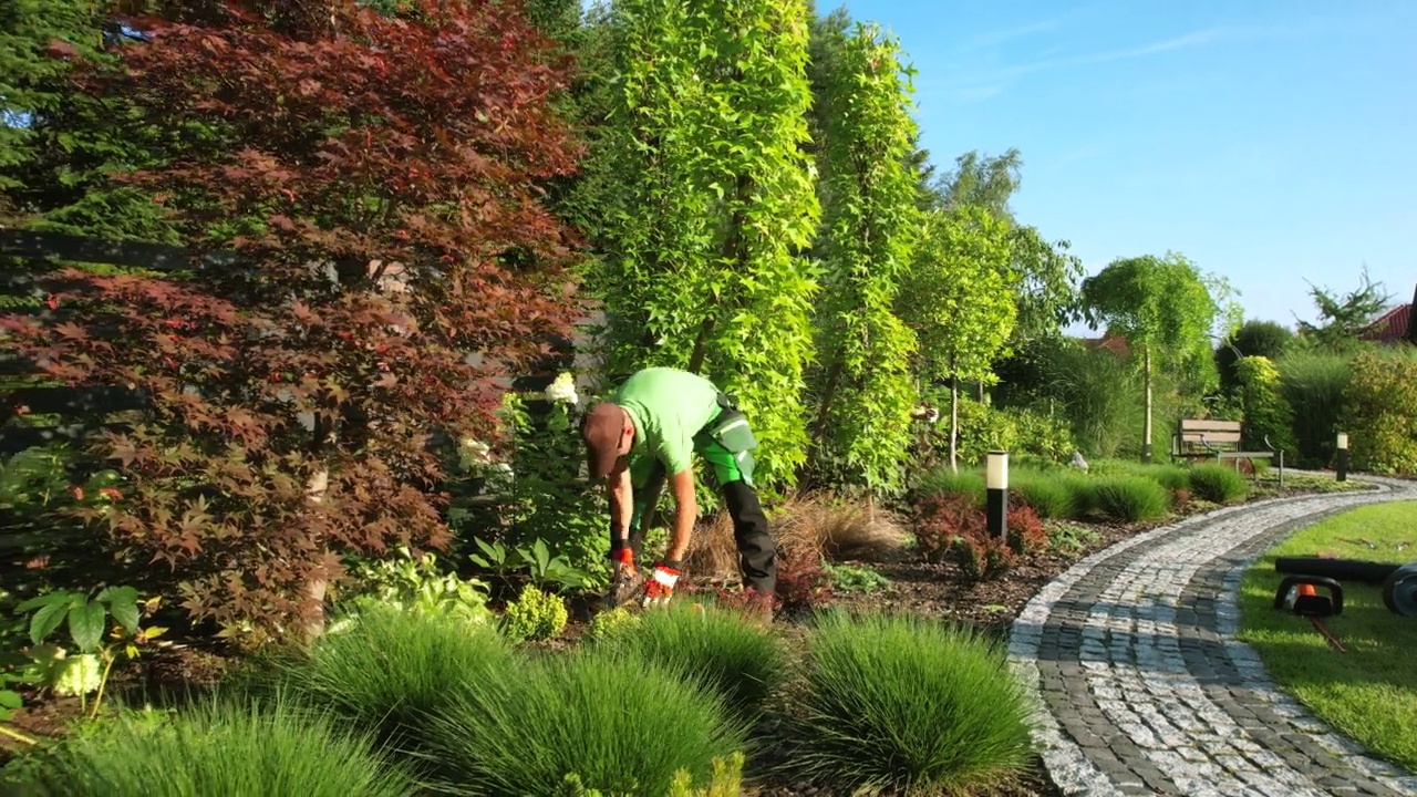 园艺工人在住宅后花园修剪植物视频素材画面4