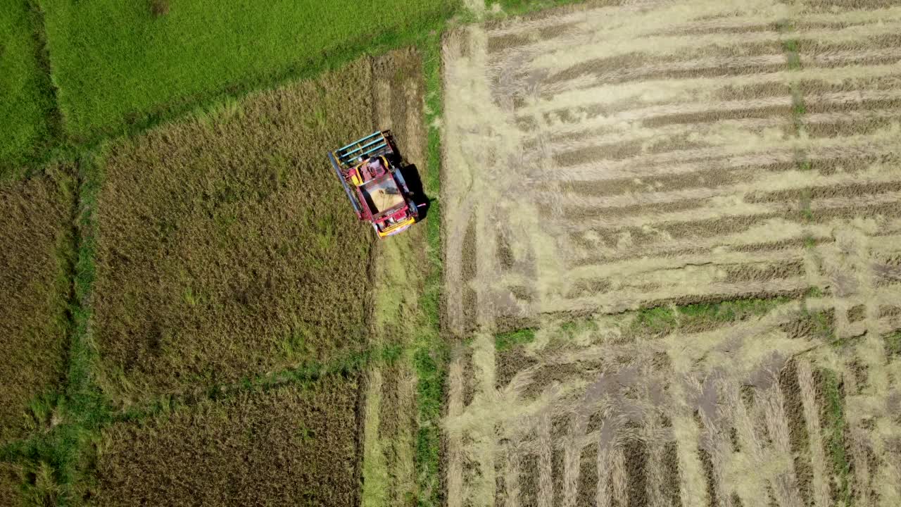 无人机视角的农民驾驶着收割机拖拉机，在农业领域种植水稻视频素材