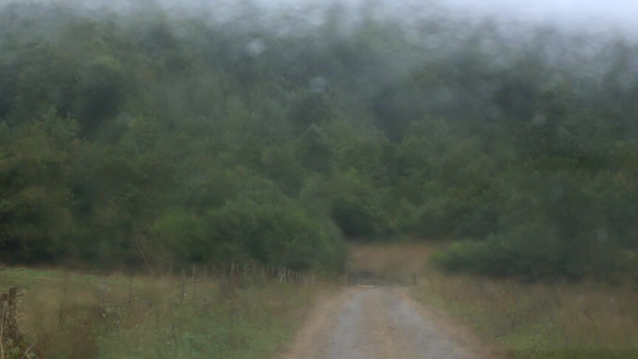 在阴雨蒙蒙的森林前的乡村道路上运行的汽车雨刷器视频素材