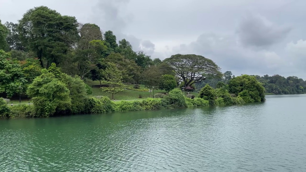 MacRitchie水库被水和自然包围的平静溪流的宁静景色。新加坡最古老、最受欢迎的自然公园，适合慢跑者、家庭和婴儿车。视频下载