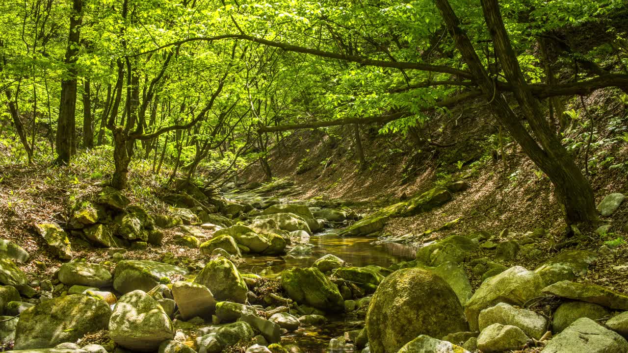 自然风光——山谷、岩石和水/韩国江原道洪川郡视频素材