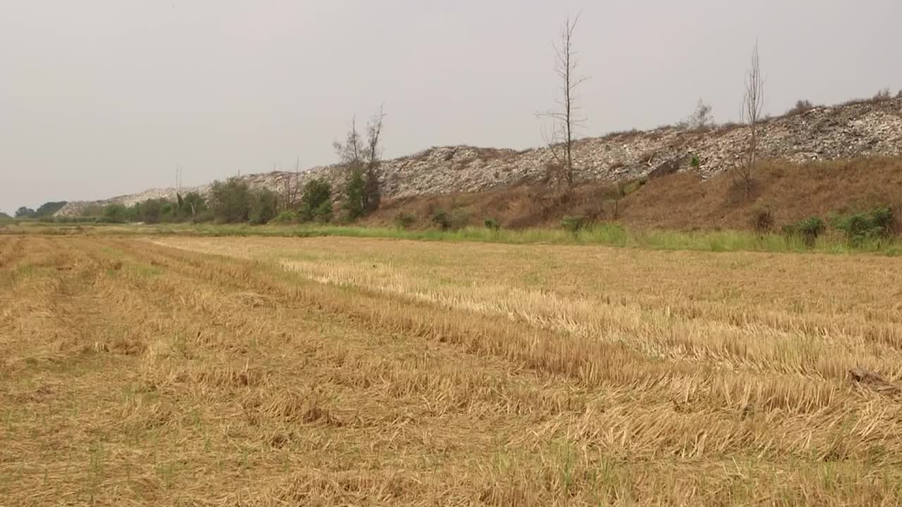 泰国大城府Phra Nakhon Si Mueang区Phraeksa街道的一个垃圾填埋场。视频素材