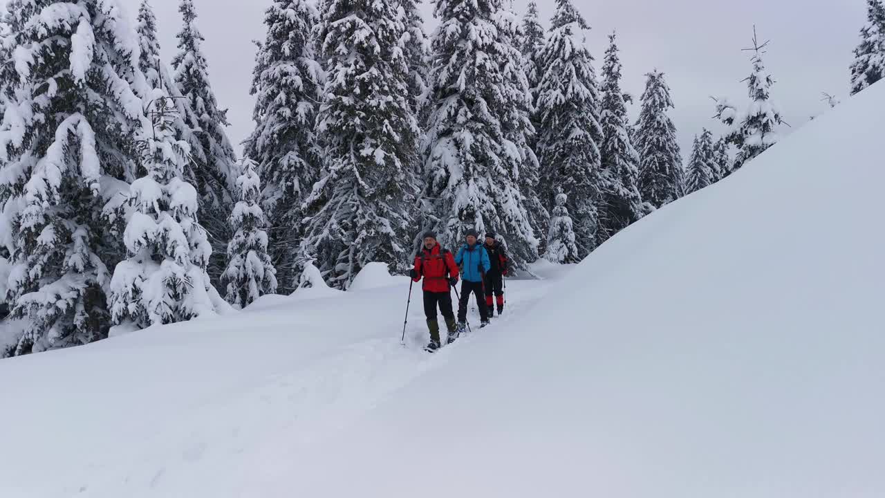 背包和雪鞋的徒步旅行者在冬季徒步旅行中行走。视频素材