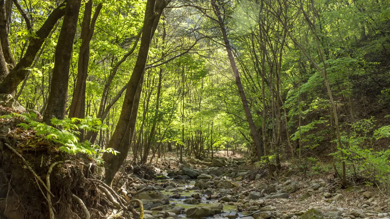 自然风光——山谷、岩石和水/韩国江原道洪川郡视频素材