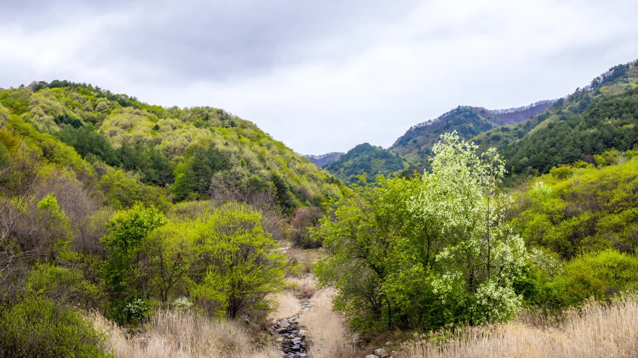 自然风光——山、树、山谷、小溪和水/韩国江原道麟蹄郡视频素材