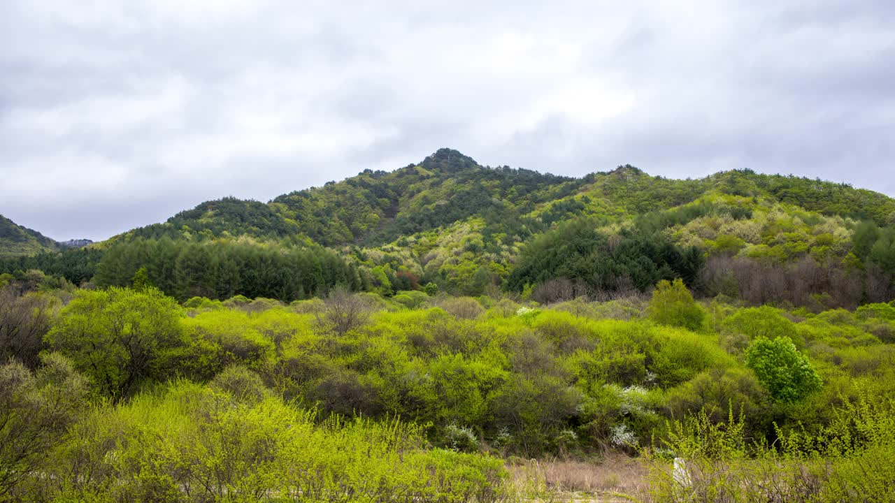 自然风光——山、树、山谷、小溪和水/韩国江原道麟蹄郡视频素材