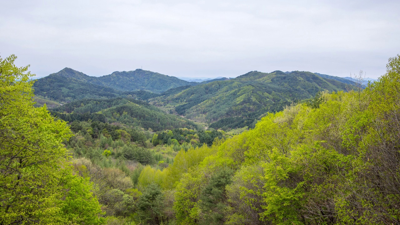 自然风景-山和树/麟蹄郡，江原道，韩国视频素材