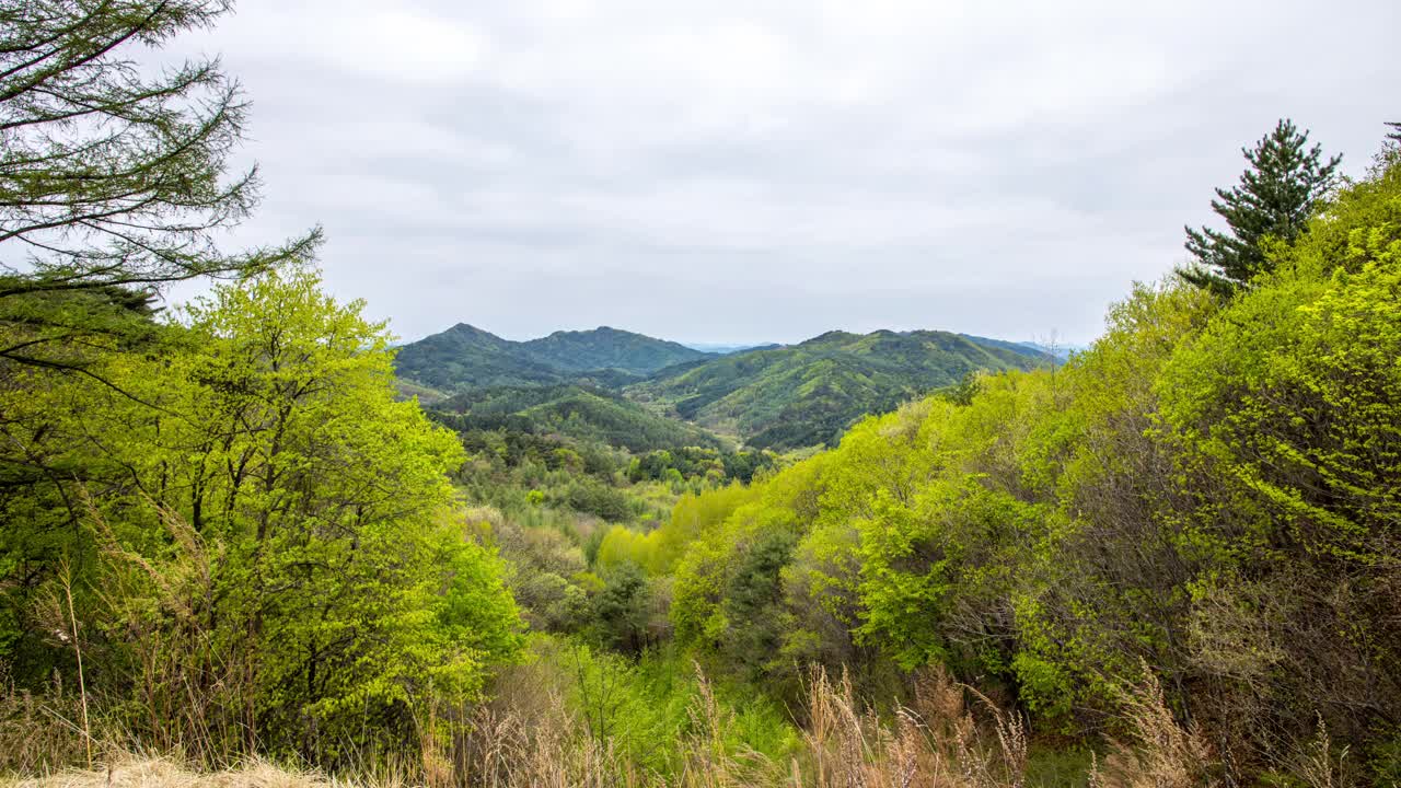 自然风景-山和树/麟蹄郡，江原道，韩国视频素材