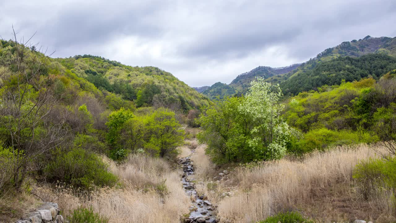 自然风光——山、树、山谷、小溪和水/韩国江原道麟蹄郡视频素材