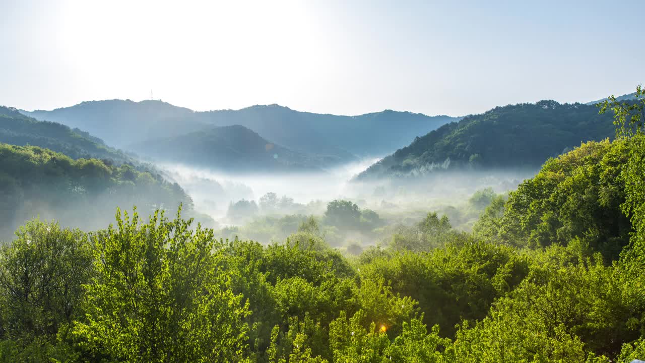 自然风光-山，树，云海和秘密花园/仁济郡，江原道，韩国视频素材