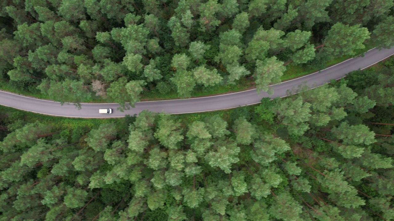 快递运输服务。鸟瞰白色货车行驶在柏油路穿越广阔的森林在夏日。航拍汽车行驶在松树林中的道路。风景优美的风景。视频素材