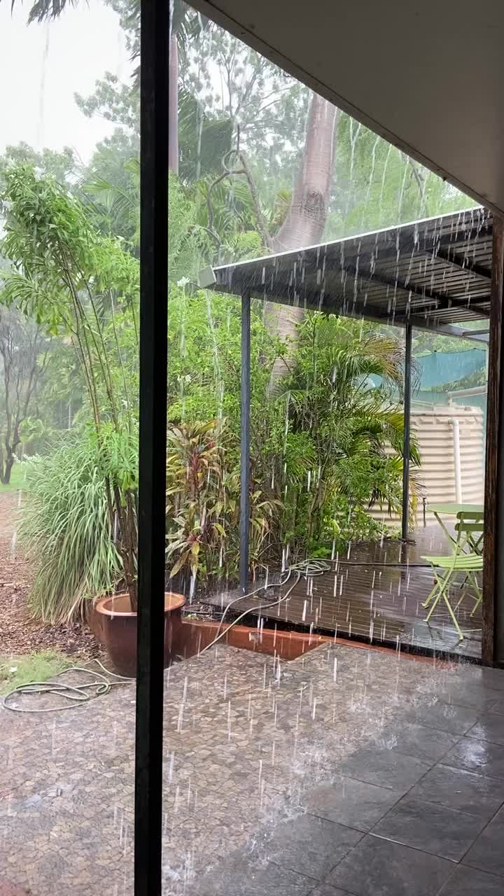 雨季的热带雨视频下载