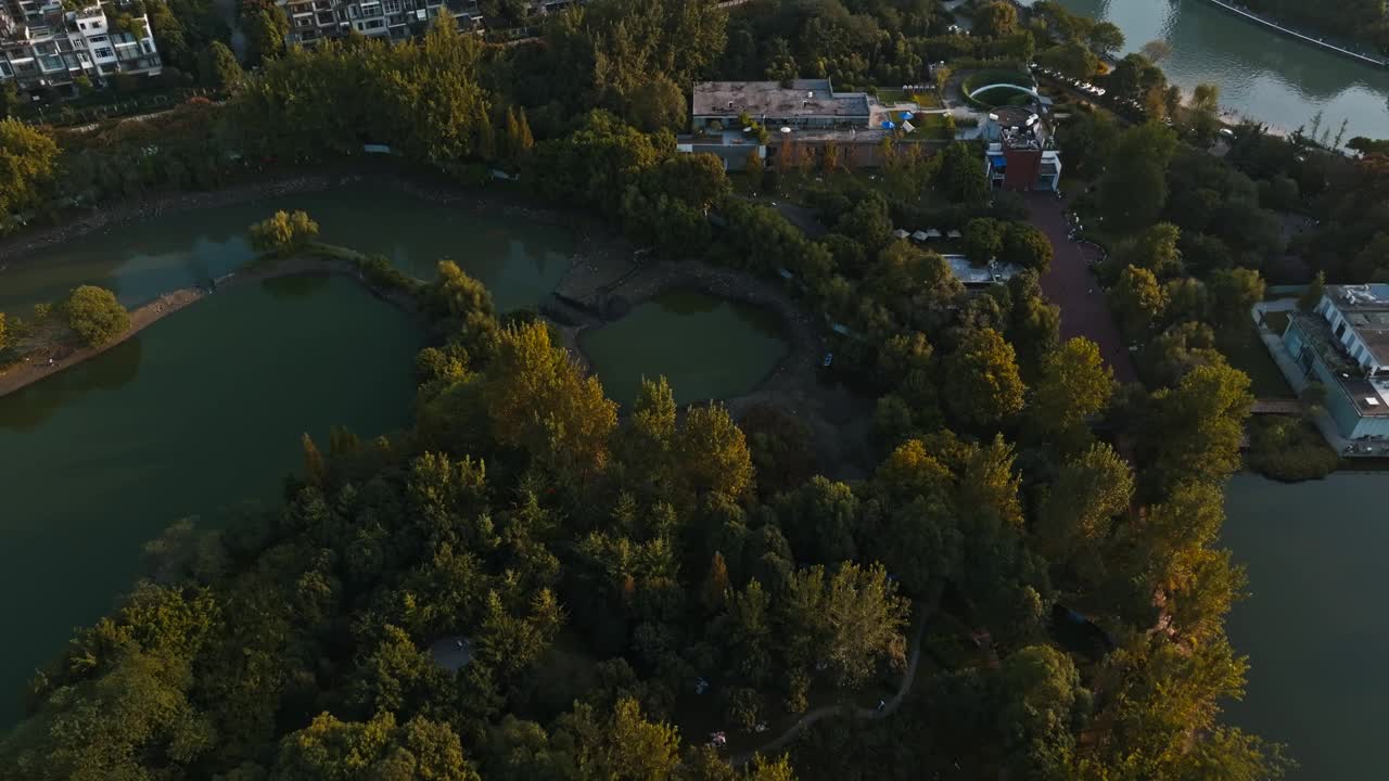 美丽的空中秋天的城市景观成都城市的河流在中国四川视频素材