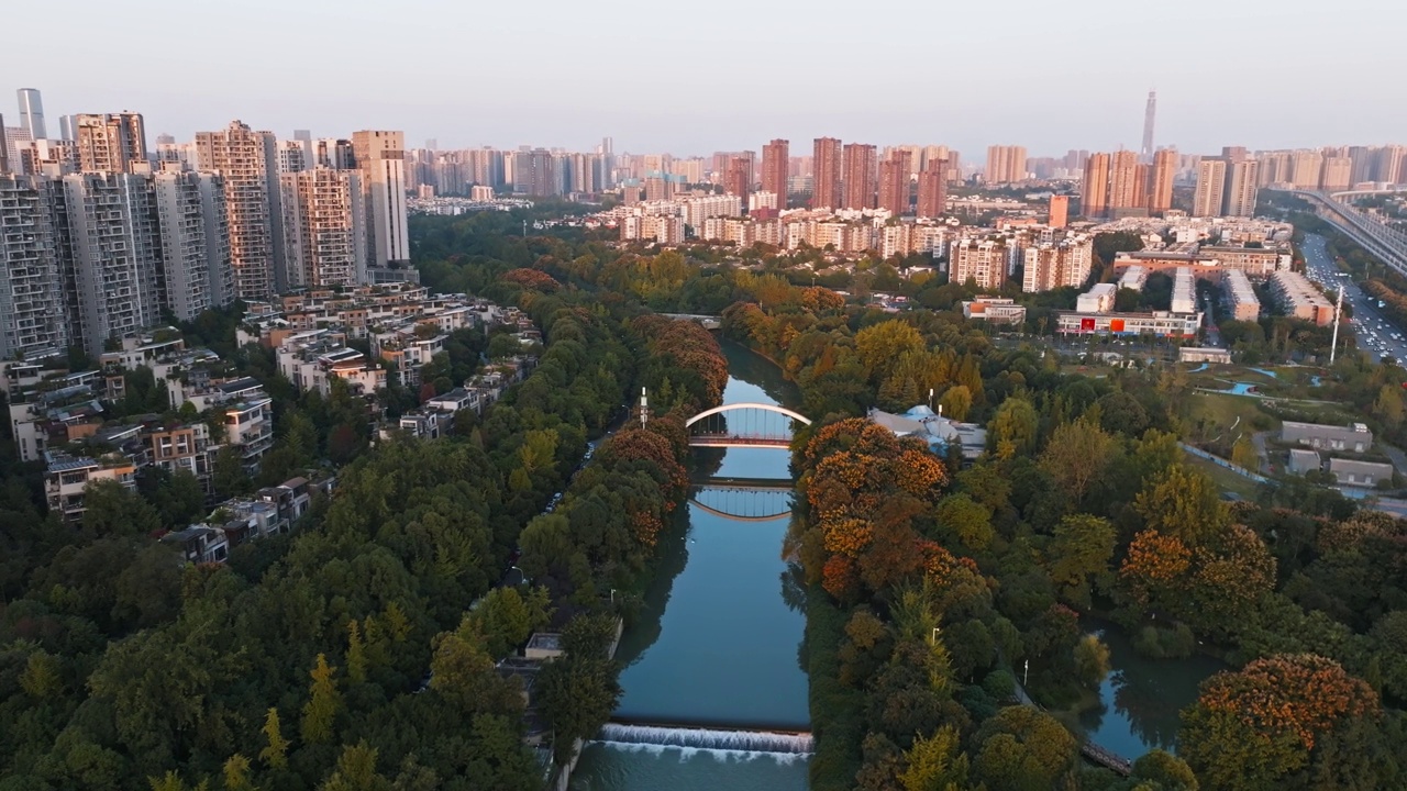 鸟瞰美丽的成都在秋日阳光明媚的森林公园滨江中国城市景观视频素材