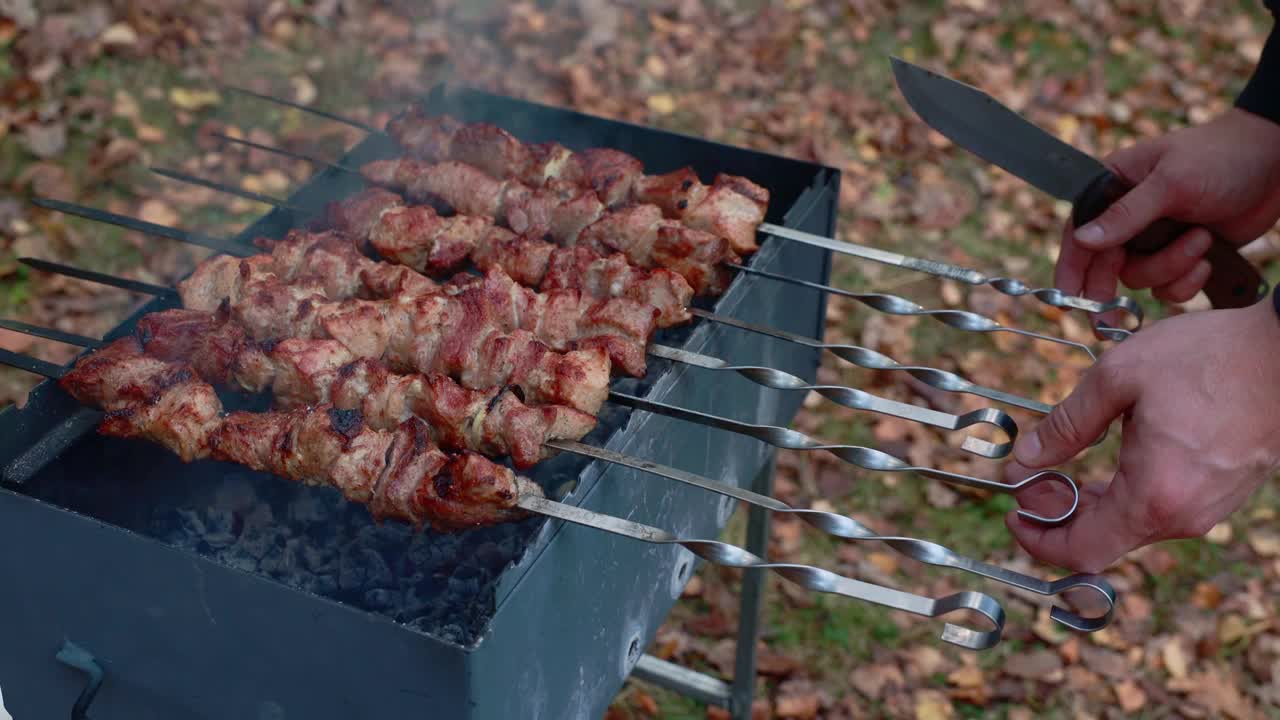 烤的肉。烤架上准备好的烤肉。烤猪肉。深秋，户外野餐。视频素材