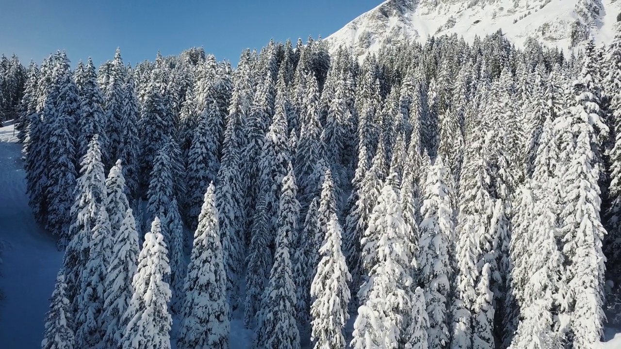 在瑞士阿尔卑斯山脉附近的山坡上，许多松树被积雪覆盖。无人机航拍画面视频素材