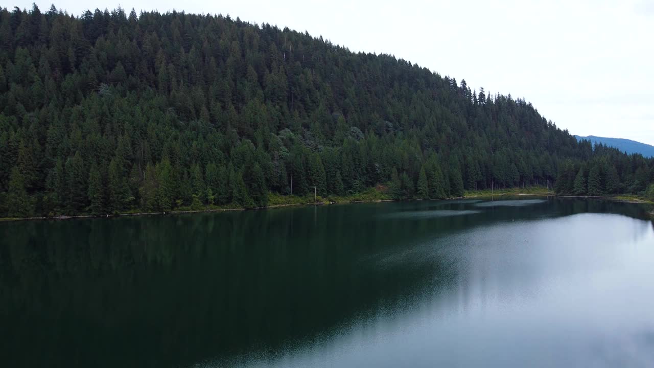 空中全景的绿色云杉森林山上周围的清澈湖在加拿大视频素材