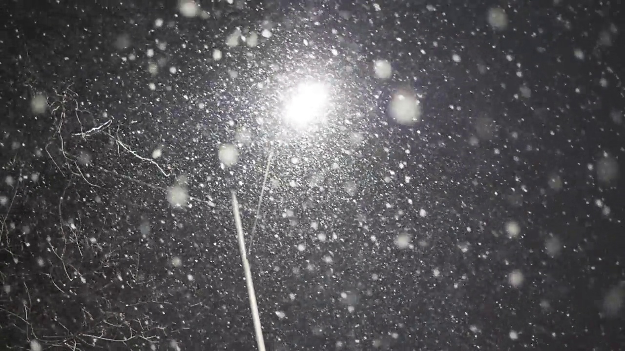 缓慢的运动。街灯下雪花飘落的景象。视频素材