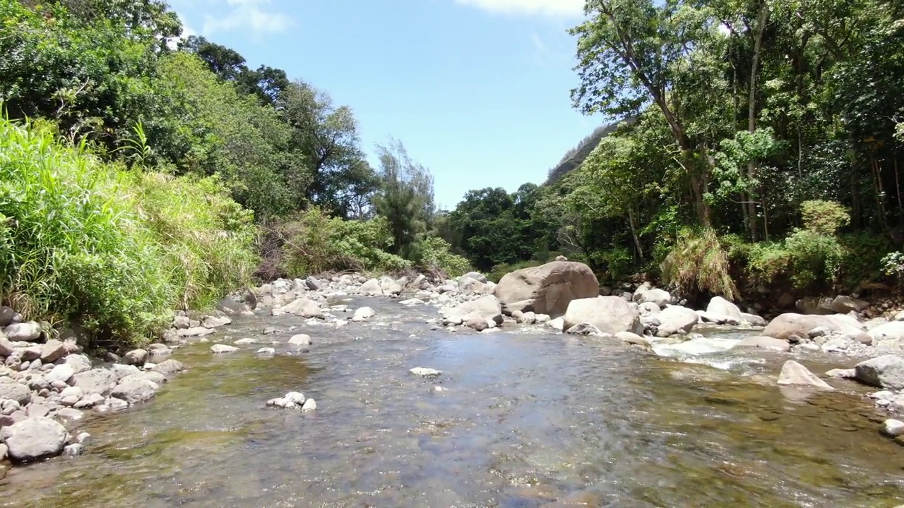 低空飞行的无人机跟踪Iao山谷的河流。视频素材