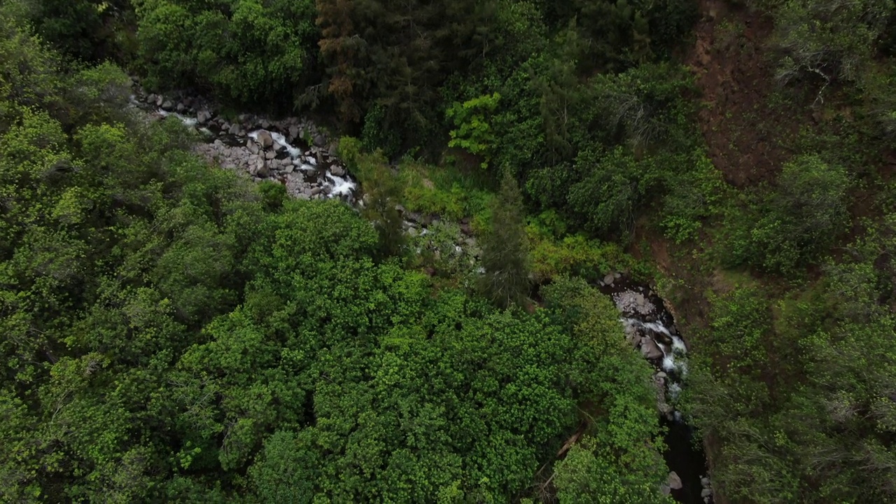 Iao山谷空中天桥显示郁郁葱葱的绿色雨林，河流和溪流。视频素材