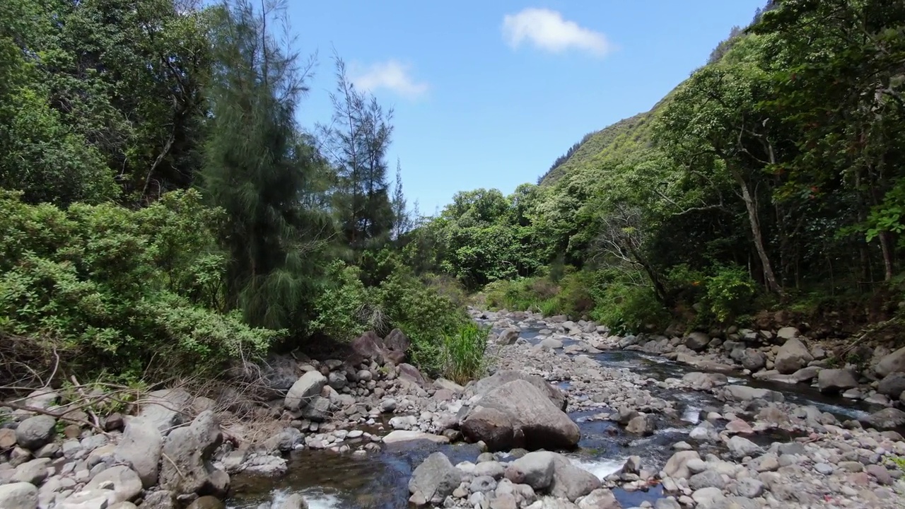 毛伊岛Iao山谷州立公园的美丽山谷景色。无人机低空在河流上空飞行。视频素材