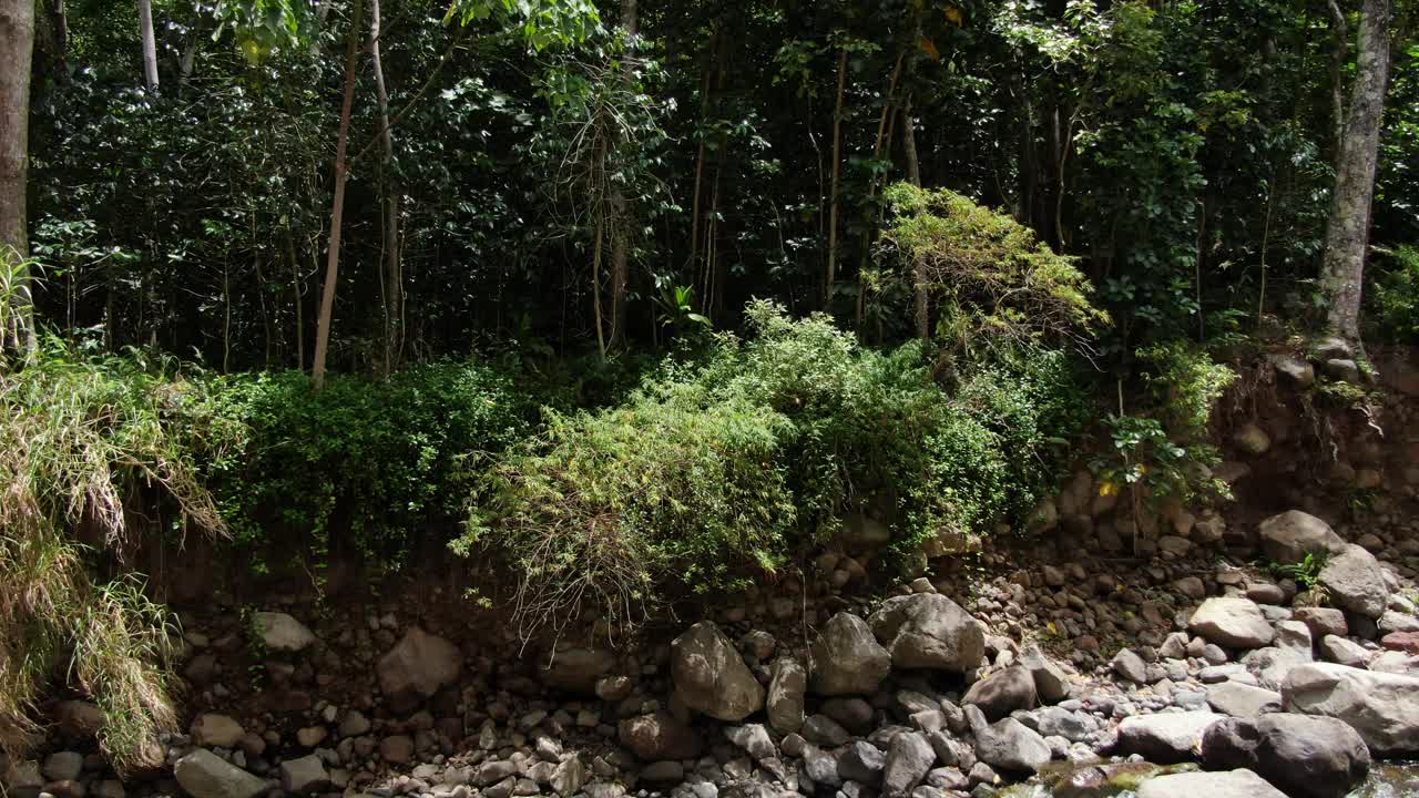 上升的基座上升到毛伊岛雨林树冠的屋顶。视频素材