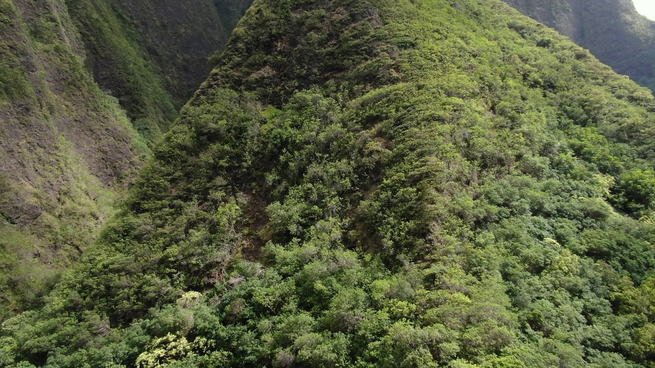 电影空中接近森林茂密的山脊在'Iao山谷。地球。视频素材