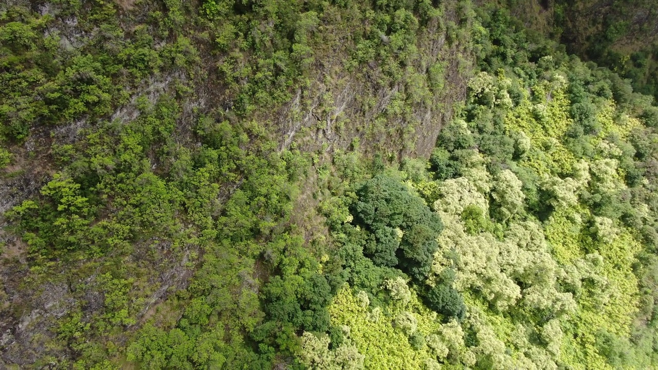 “Iao山谷，下降的空中底座拍摄显示茂密的森林墙壁上郁郁葱葱的绿色热带植被。视频素材