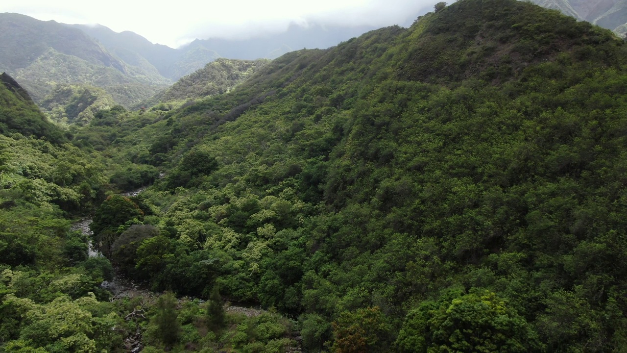 毛伊岛。Iao河在瓦卢库郁郁葱葱的热带雨林下流淌。空中下降。视频素材