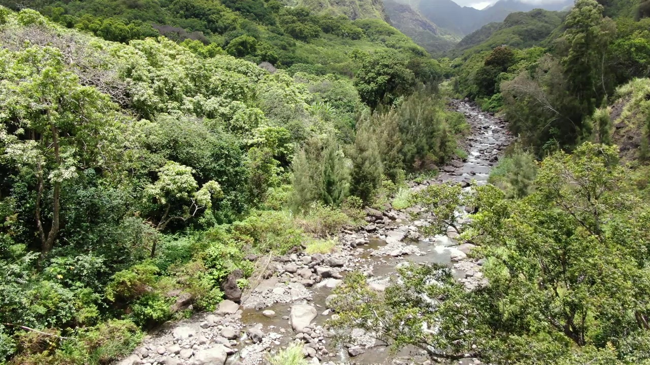 瓦卢库河穿过毛伊岛的热带天堂——约阿山谷的丛林。太阳照亮谷底的空中静态拍摄。视频素材